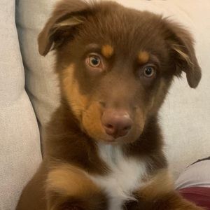 Meet your Posher, Jaci